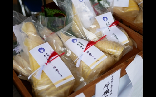 神饌タケノコ 500ｇ入り×3【2026年5月発送分】