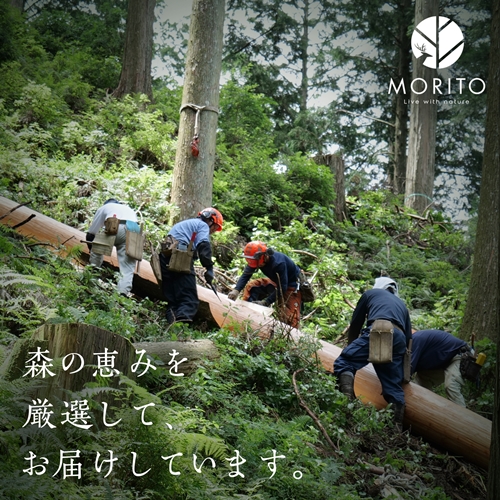 【MORITO】丸太（切り株）とアイアンスツール（杉）／森庄銘木 サイドテーブル カフェ キャンプ ソファーテーブル 椅子 背割りあり 杉 天然素材 LOGSTOOL おしゃれ 脚付き ベンチ ヴィンテージ 木製 アンティーク インテリア 送料無料 奈良県 宇陀市 ふるさと納税