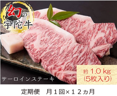 毎月定期便全12回 名産 認定肉 宇陀牛 国産 黒毛和牛 サーロイン ステーキ 5枚 計1kg / 山繁 ふるさと納税 牛肉 牛丼 しゃぶしゃぶ 人気 寄付 ランキング おすすめ グルメ 肉 返礼品 送料無料