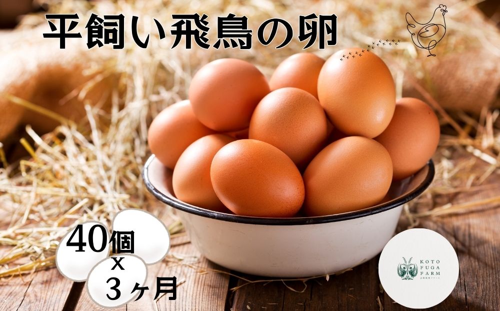 定期便 ３ヶ月 美味しい 平飼い 飛鳥の卵 ４０個 冷蔵 月１回 ／ 古都 風雅 ファーム たまご 玉子 鶏 卵 取り寄せ 新鮮 生食 安心 安全 健康卵 飛鳥 オーガニック 非遺伝子組み換え 奈良県 宇陀市