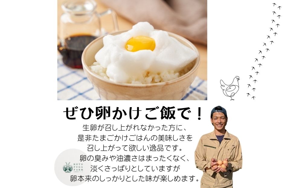 定期便 ３ヶ月 美味しい 平飼い 飛鳥の卵 ４０個 冷蔵 月１回 ／ 古都 風雅 ファーム たまご 玉子 鶏 卵 取り寄せ 新鮮 生食 安心 安全 健康卵 飛鳥 オーガニック 非遺伝子組み換え 奈良県 宇陀市