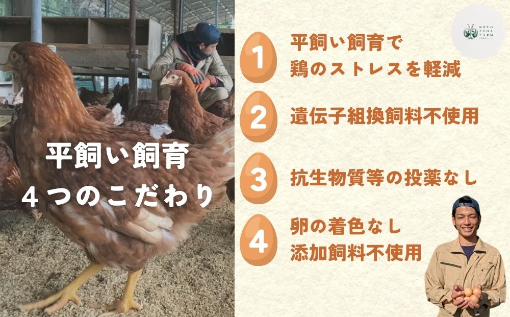 【毎月定期便／3ヶ月】平飼い飛鳥の卵 40個／ 卵 たまご 玉子 生卵 鶏卵 生たまご たまごかけごはん 卵焼き 目玉焼き 冷蔵 チルド 古都風雅ファーム 奈良県 宇陀市