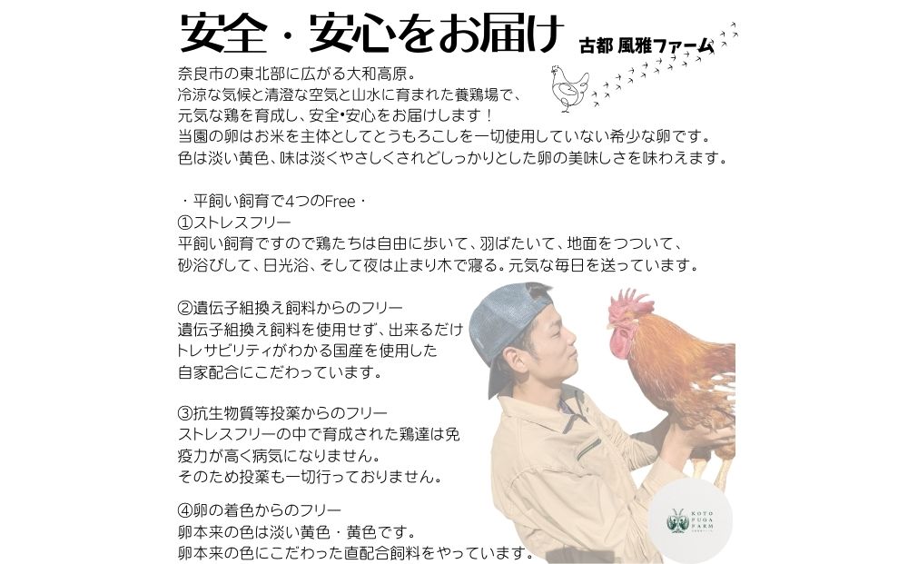 定期便 ３ヶ月 美味しい 平飼い 飛鳥の卵 ４０個 冷蔵 月１回 ／ 古都 風雅 ファーム たまご 玉子 鶏 卵 取り寄せ 新鮮 生食 安心 安全 健康卵 飛鳥 オーガニック 非遺伝子組み換え 奈良県 宇陀市