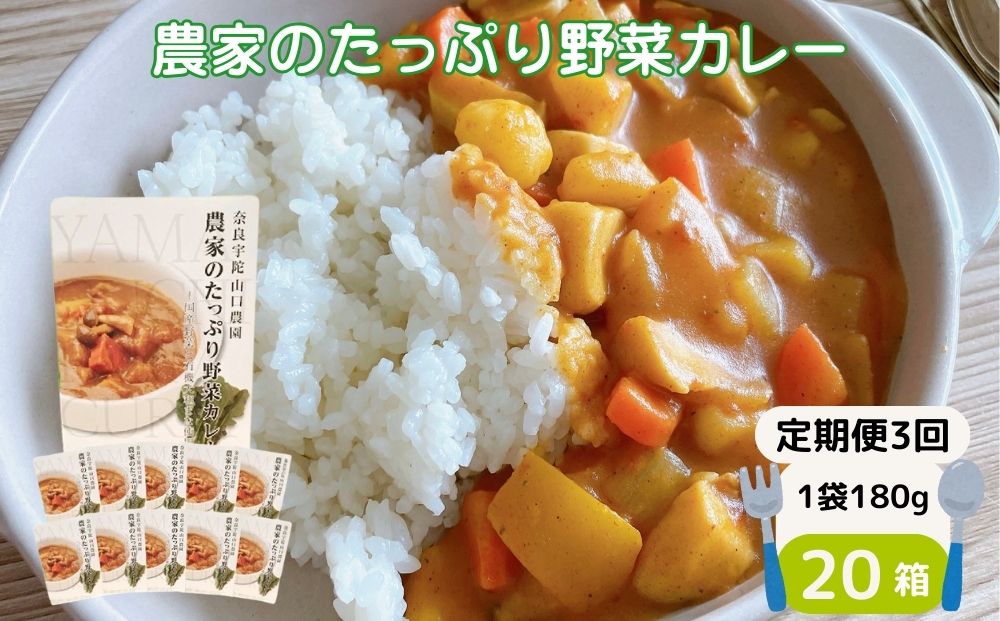 定期便 3ヶ月 農家のたっぷり野菜カレー20個 月1回 ／ ふるさと納税 山口農園 有機野菜 オーガニック 伝統野菜 レトルト 詰め合わせ ギフト カレーセット スパイス 飯 キャンプお取り寄せ 奈良県 宇陀市  おかず ご当地 簡単 お歳暮 暑中見舞い 時短 保存食