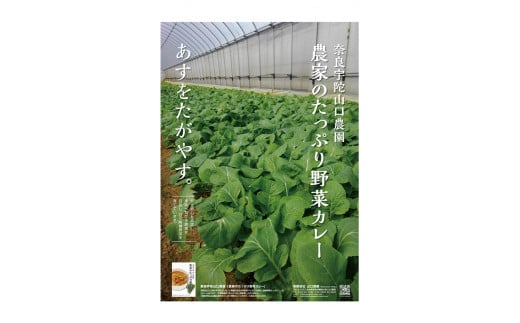 定期便 ３ヶ月 農家のたっぷり野菜カレー ２０個 月１回 ／ 山口農園 有機野菜 オーガニック 伝統野菜 レトルト 詰め合わせ ギフト カレーセット スパイス 飯 キャンプお取り寄せ 奈良県 宇陀市 送料無料 おかず ご当地 簡単 お歳暮 暑中見舞い 時短 保存食 ふるさと納税