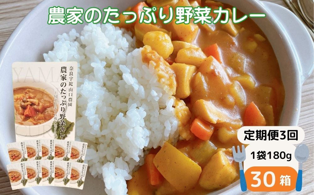 定期便 3ヶ月 農家のたっぷり野菜カレー 30個 月1回 ／ふるさと納税 山口農園 有機野菜 オーガニック 伝統野菜 レトルト 詰め合わせ ギフト カレーセット スパイス 飯 キャンプお取り寄せ 奈良県 宇陀市  おかず ご当地 簡単 お歳暮 暑中見舞い 時短 保存食