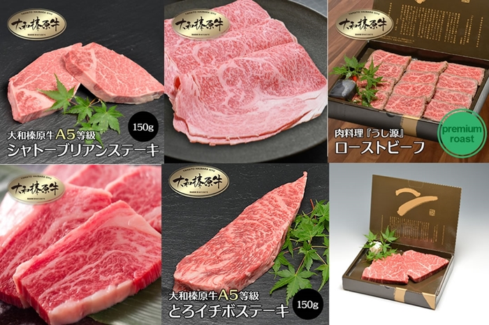 食べ尽くし 定期便 12ヶ月 大和 榛原牛 冷凍 月1 計 12回 ／ うし源 本店 シャトーブリアン ヒレ フィレ ヘレ イチボ ヒウチ モモ ロース ランプ カルビ 牛肉 お肉 ステーキ 父の日 母の日 手土産 奈良県 宇陀市 お中元 贈答用 贈り物 暑中見舞い お土産 お歳暮 内祝いまとめ買い 美味しい部位 キャンプ 送料無料