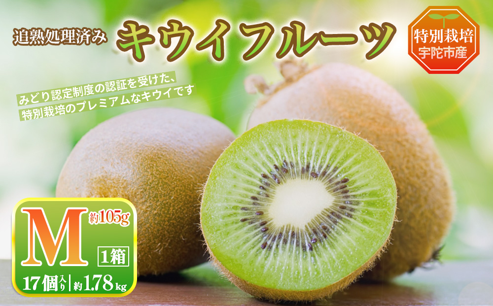 ＜2026年12月～3月順次発送＞プレミアム キウイ フルーツ Mサイズ 17個入 追熟処理済 ／ ふるさと納税 キウイ キウイフルーツ ギフト 栄養 果物 お土産 化学肥料不使用 特別栽培 塩 奈良県 宇陀市 やまとファームJAPAN