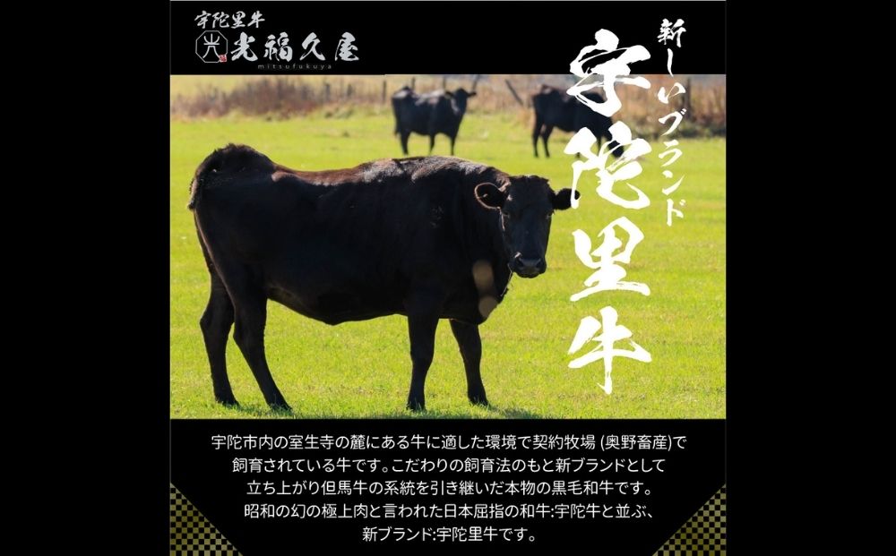 チルド 大和 宇陀里牛 切り落とし ドドンと 約900g ／ ふるさと納税 ふるさと 牛肉 肉 和牛 奈良県 宇陀市 光福久屋