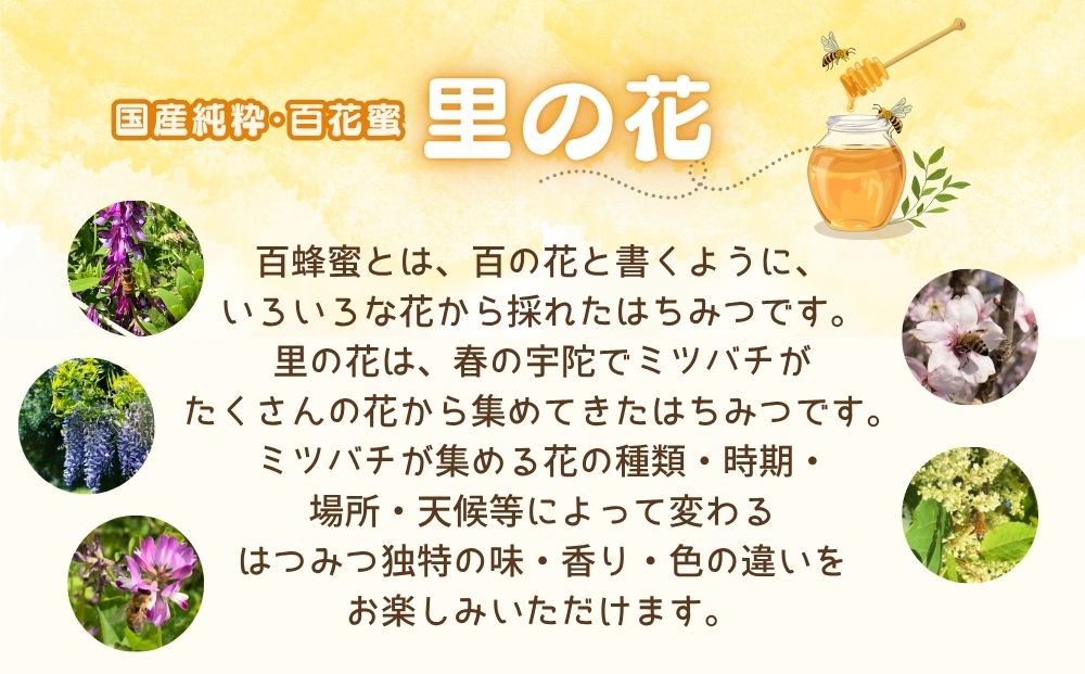 åœç£ çŽç² ã¯ã¡ã¿ã€ éã®è± 125g 黿ª 125g (å2æ¬)ïŒ èè ãããã éå ç± ç¡æ·»å ç¡å å·¥ çŸè±è åè±è ããã ãåãå¯ã äŒè€ããé€èå å¥è¯ç å®éåž ãµãããšçŽçš