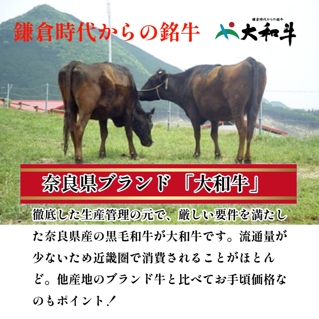 (冷凍) 大和牛 ステーキ サーロイン (200g×2枚) ／ 金井畜産 焼肉 キャンプ バーベキュー アウトドア 贈答 父の日 母の日 奈良県 宇陀市 お中元 贈答用 贈り物 暑中見舞い お土産 お歳暮 内祝い 美味しい部位 送料無料 ふるさと納税