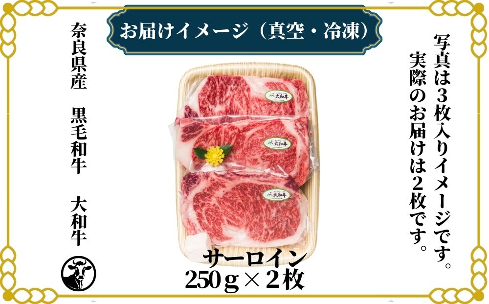 (冷凍) 大和牛 ステーキ サーロイン (250g×2枚) ／ 金井畜産 焼肉 キャンプ バーベキュー アウトドア 贈答 父の日 母の日 奈良県 宇陀市 お中元 贈答用 贈り物 暑中見舞い お土産 お歳暮 内祝い 美味しい部位 送料無料 ふるさと納税