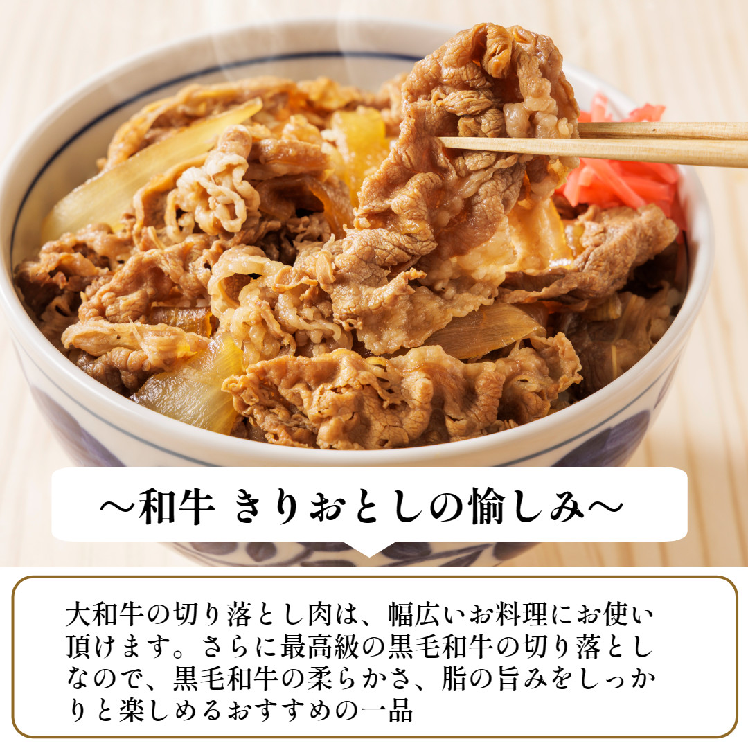 (冷凍) 大和牛 切り落とし 500g ／ 金井畜産 焼肉 アウトドア バーベキュー キャンプ 父の日 奈良県 宇陀市 お中元 贈答用 贈り物 暑中見舞い お土産 お歳暮 内祝い 美味しい部位 送料無料 ふるさと納税