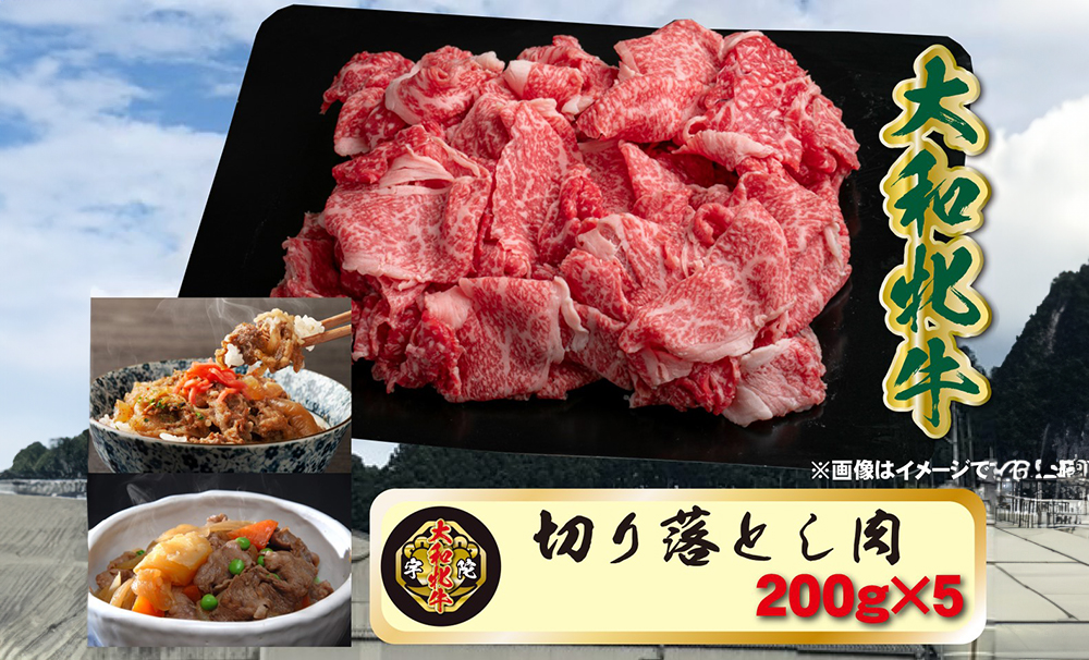 (冷凍) 大和牝牛 切り落とし肉 200g×5 YMKO1 ／  太田家 焼肉 バーベキュー アウトドア キャンプ お中元 お歳暮 父の日 奈良県 宇陀市 お歳暮 内祝い 美味しい部位 送料無料 ふるさと納税