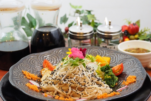 ç米麺 倧ååœåž° èå
¥ã 1è¢ ïŒ æš ã¯ã«ã« æ œå¹æéäž èŸ²è¬äžäœ¿çš éººé¡ ç°å¢ã«åªãã ãšã·ã«ã« ã» ãµã¹ãã£ããã« SDGs å颚 麺 æç è¬è 倧å åœåž°è è ãã å¥è¯ç å®éåž