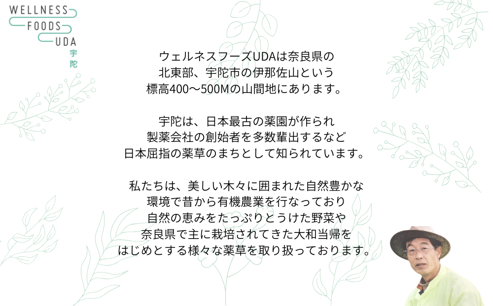 定期便12回 よもぎ 入浴剤 25包 (5包入×5個) /ウェルネスフーズ UDA ふるさと納税 無添加 有機栽培 おすすめ リラックス ストレス解消 ボディケア 肌荒れ改善 疲労回復 送料無料 奈良 宇陀