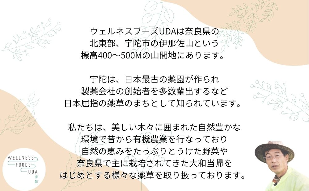 大和当帰 入浴剤 25包（1袋 5包入×5個) / ふるさと納税 おすすめ プレゼント 疲労回復 ギフト 効果 無添加 有機栽培 リラックス 奈良県 宇陀市 ウェルネスフーズUDA
