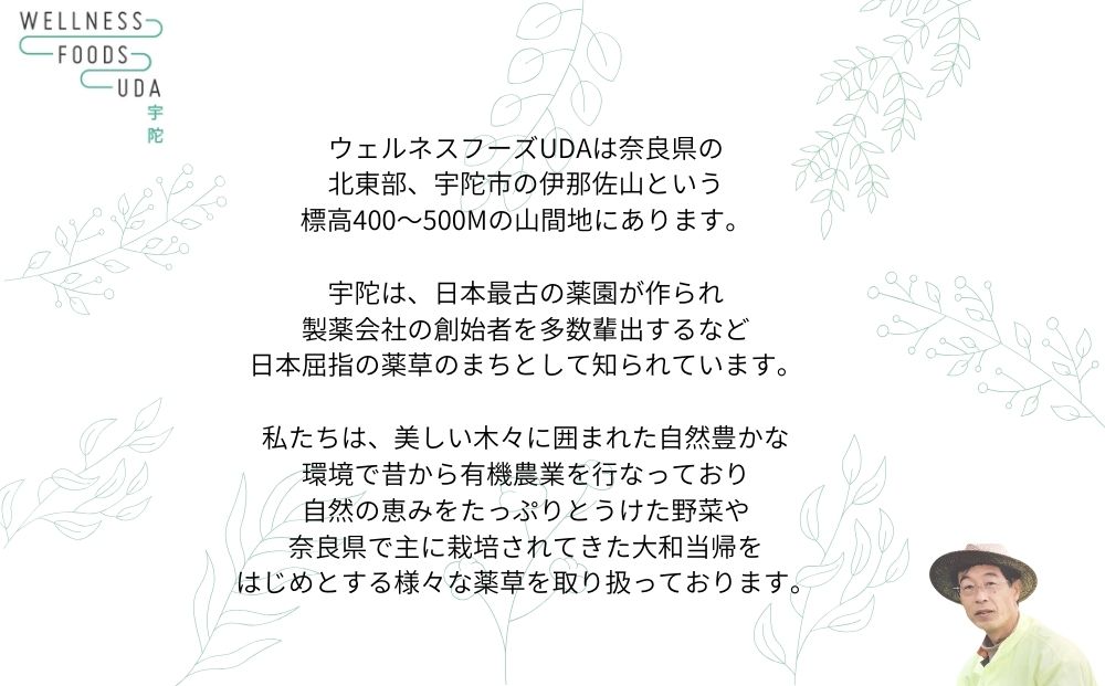 定期便3回 大和当帰 入浴剤 25包 (5包入×5個) /ウェルネスフーズ UDA ふるさと納税 無添加 有機栽培 おすすめ リラックス ストレス解消 ボディケア 肌荒れ改善 疲労回復 送料無料 奈良 宇陀