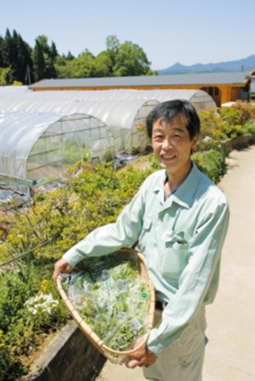 定期便12回 柚子 入浴剤 25包 (5包入×5個)/ ウェルネスフーズ UDA ふるさと納税 ゆず 無添加 有機栽培 おすすめ リラックス ストレス解消 ボディケア 肌荒れ改善 疲労回復 送料無料 奈良 宇陀