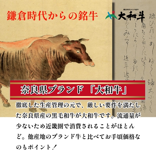 （冷凍） 大和牛 赤身 焼肉 1000g ／金井畜産 焼肉 バーベキュー キャンプ アウトドア 父の日 母の日 奈良県 宇陀市 お中元 贈答用 贈り物 暑中見舞い お土産 お歳暮 内祝い 美味しい部位 送料無料 ふるさと納税