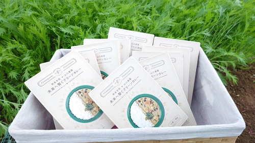 未来へ繋ぐグリーンカレー １０個 ／ ふるさと納税 山口農園 有機野菜 オーガニック 伝統野菜 レトルト 詰め合わせ カレー ギフト カレーセット スパイス 飯 キャンプお取り寄せ 奈良県 宇陀市  