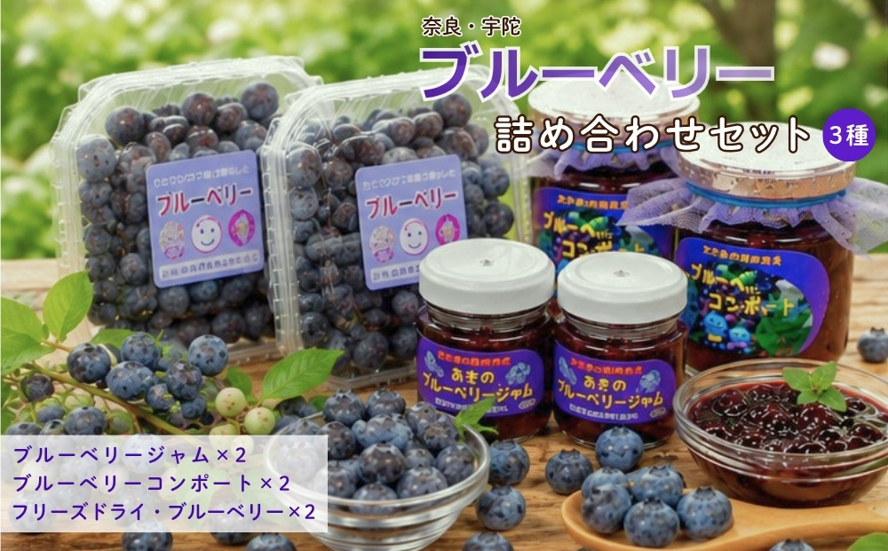 ブルーベリー詰め合わせセット