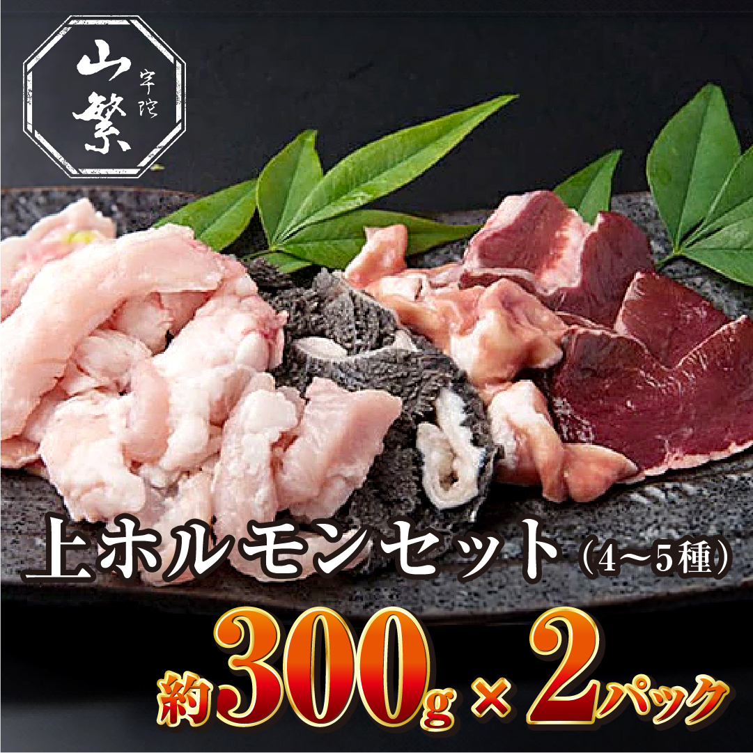 特産 認定肉 宇陀牛 国産 黒毛和牛 希少 上ホルモン 4～5種 約300g×2 / 宇陀 山繁 ふるさと納税 牛肉 焼肉 レア 人気 BBQ ランキング おすすめ グルメ 肉 返礼品 商品 送料無料