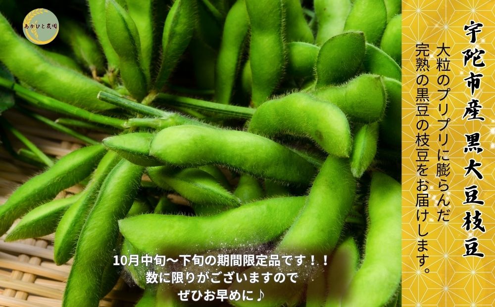 <１０月中～末頃に発送>宇陀黒大豆枝豆(要予約)2kg(500ｇ×4袋) / あかひと農園 黒大豆枝豆 季節限定 ビール 奈良県 宇陀市