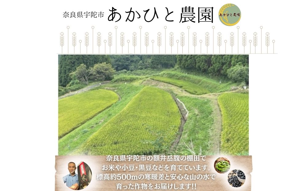 10月頭〜発送 にじのきらめき あかひと米 5kg／ あかひと農園 米 白米 精米 令和6年産 R6 2024年産 奈良県 宇陀市 ふるさと納税 送料無料 白米 新米