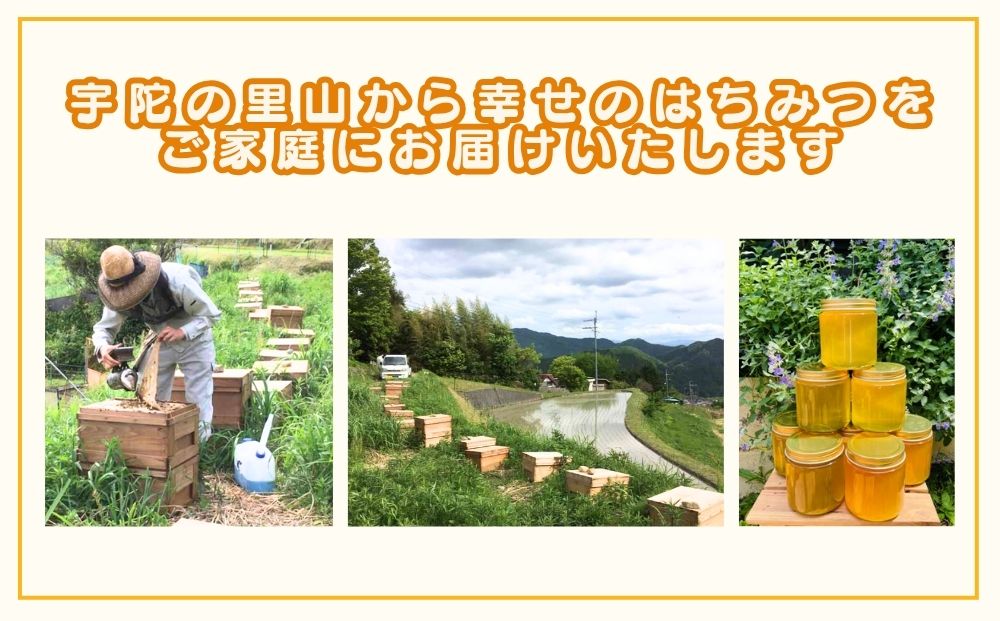 国産 純粋 はちみつ 里の花 125g (1本)／ 蜂蜜 ハチミツ 非加熱 無添加 無加工 百花蜜 単花蜜 キハダ お取り寄せ 伊藤ゆう養蜂園 奈良県 宇陀市 ふるさと納税