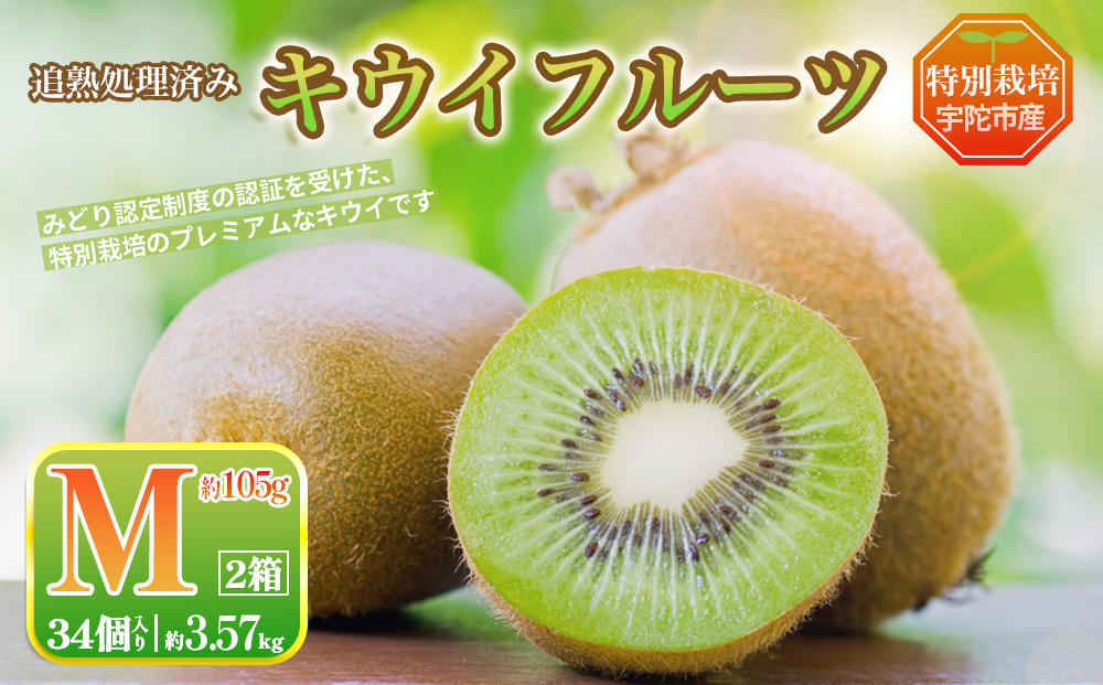 ＜2026年12月～3月順次発送＞ こだわり プレミアムキウイフルーツ Mサイズ 17個×2箱入 追熟処理済／ ふるさと納税 キウイ キウイフルーツ ギフト 栄養 果物 お土産 化学肥料不使用 特別栽培 塩 奈良県 宇陀市 やまとファームJAPAN