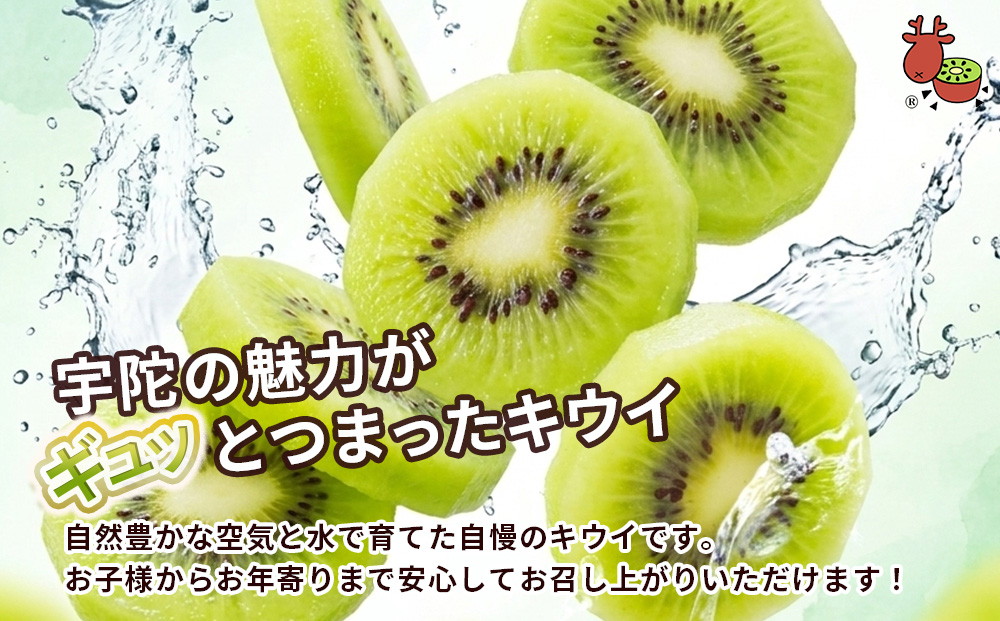 ＜2026年12月～3月順次発送＞ こだわり プレミアムキウイフルーツ Mサイズ 17個×2箱入 追熟処理済／ ふるさと納税 キウイ キウイフルーツ ギフト 栄養 果物 お土産 化学肥料不使用 特別栽培 塩 奈良県 宇陀市 やまとファームJAPAN