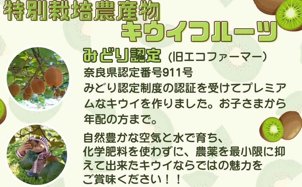 ＜12月以降順次発送＞ こだわり プレミアムキウイフルーツ Mサイズ 17個×2箱入 追熟処理済／ ふるさと納税 キウイ キウイフルーツ ギフト 栄養 果物 お土産 化学肥料不使用 特別栽培 塩 奈良県 宇陀市 やまとファームJAPAN