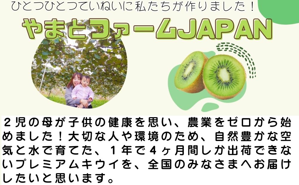 ＜12月以降順次発送＞プレミアムキウイフルーツ Lサイズ 14個×2箱入 追熟処理済 追熟処理済／ ふるさと納税 キウイ キウイフルーツ ギフト 栄養 果物 お土産 化学肥料不使用 特別栽培 塩 奈良県 宇陀市 やまとファームJAPAN