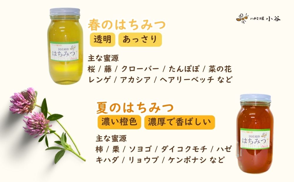 ããããå±å°è°· ã¯ã¡ã¿ã€ å€ã»ããïŒ åœç£ çŽç² èè ãããã ãã㌠éå ç± ç¡ç²Ÿè£œ èŽççš èŽãç© å¥è¯ç å®éåž ãµãããšçŽçš