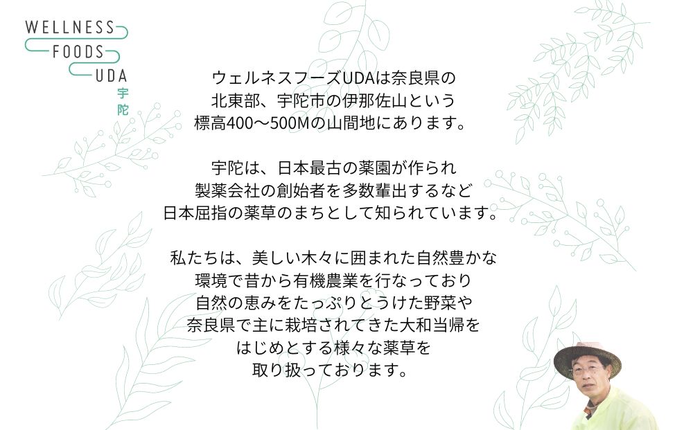 薬草のおふろ とうきかな 入浴剤 １箱(４包入)×２個 /ウェルネスフーズ UDA 大和 当帰 ふるさと納税 おすすめ リラックス ストレス解消 ボディケア 肌荒れ 改善 疲労回復 送料無料 奈良 宇陀