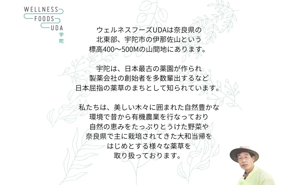 ミックス ハーブ 入浴剤 １箱(５包入)×１個 / ウェルネスフーズ UDA 大和 当帰 ふるさと納税 おすすめ リラックス ストレス解消 ゆず よもぎ アップル ミント 生姜 疲労回復 送料無料 奈良