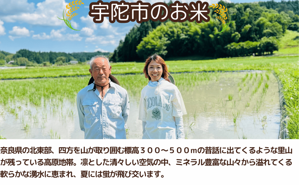 ★自然栽培米★新米【令和6年産】玄米　 3kg ９月末より順次発送/自然栽培米 新米 令和6年産 玄米 農家やまおか 無農薬 国産 お米 奈良県 宇陀市　お米 玄米 無添加 無農薬 お米 玄米 無添加 無農薬 お米 玄米 無添加 無農薬 お米 玄米 無添加 無農薬 お米 玄米 無添加 無農薬 お米 玄米 無添加 無農薬 お米 玄米 無添加 無農薬 お米 玄米 無添加 無農薬 お米 玄米 無添加 無農薬 お米 玄米 