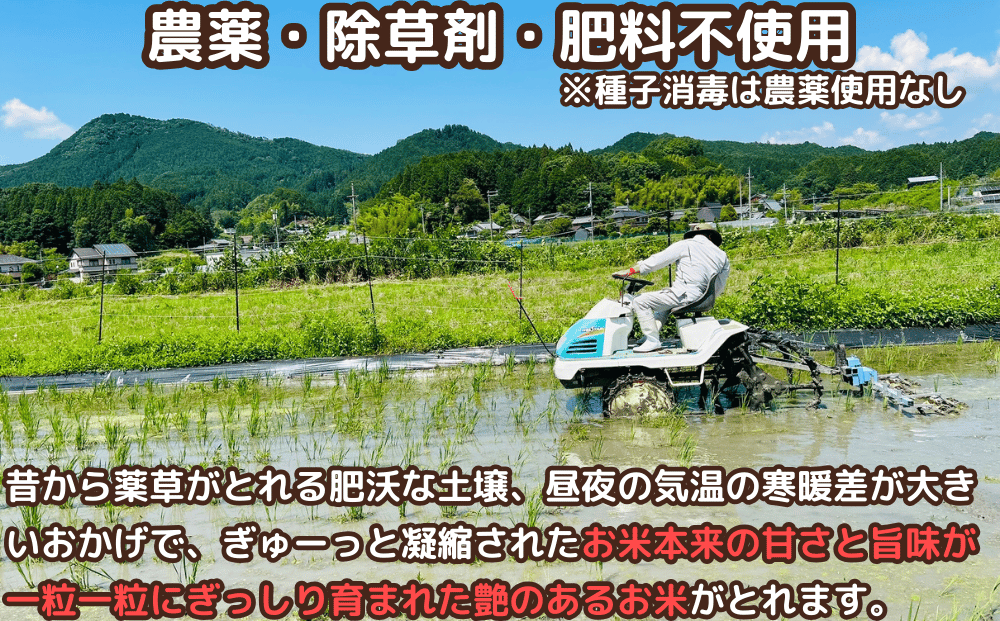 ★自然栽培米★新米【令和6年産】玄米　 3kg ９月末より順次発送/自然栽培米 新米 令和6年産 玄米 農家やまおか 無農薬 国産 お米 奈良県 宇陀市　お米 玄米 無添加 無農薬 お米 玄米 無添加 無農薬 お米 玄米 無添加 無農薬 お米 玄米 無添加 無農薬 お米 玄米 無添加 無農薬 お米 玄米 無添加 無農薬 お米 玄米 無添加 無農薬 お米 玄米 無添加 無農薬 お米 玄米 無添加 無農薬 お米 玄米 