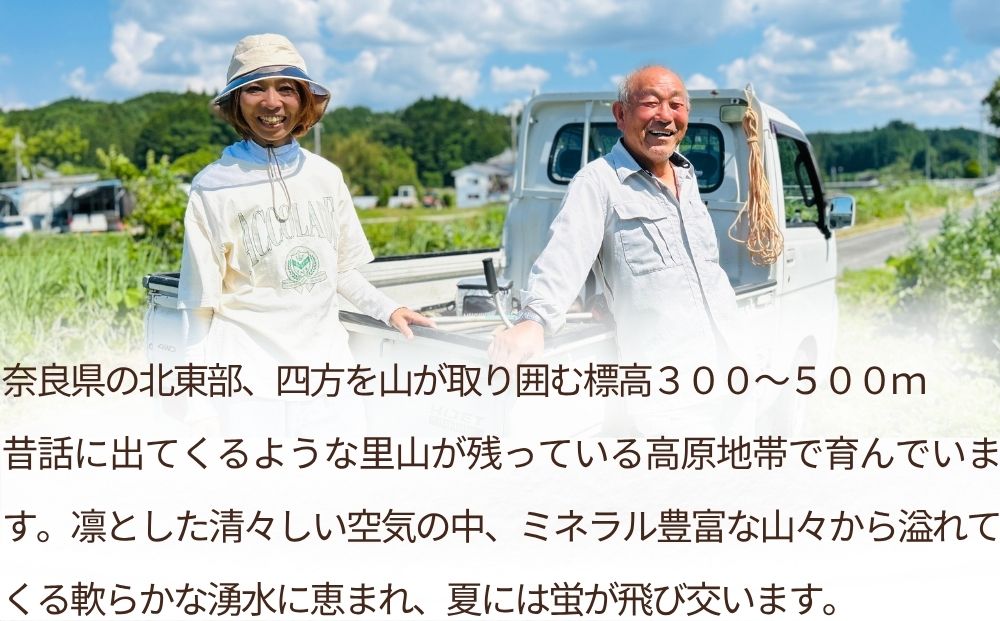 【定期便6回】自然栽培米 玄米 ＜令和7年産 5kg＞ ／ ふるさと納税 無農薬 米 お米 一等米 こめ コメ 国産 新米 玄米 農家やまおか 奈良県 宇陀市