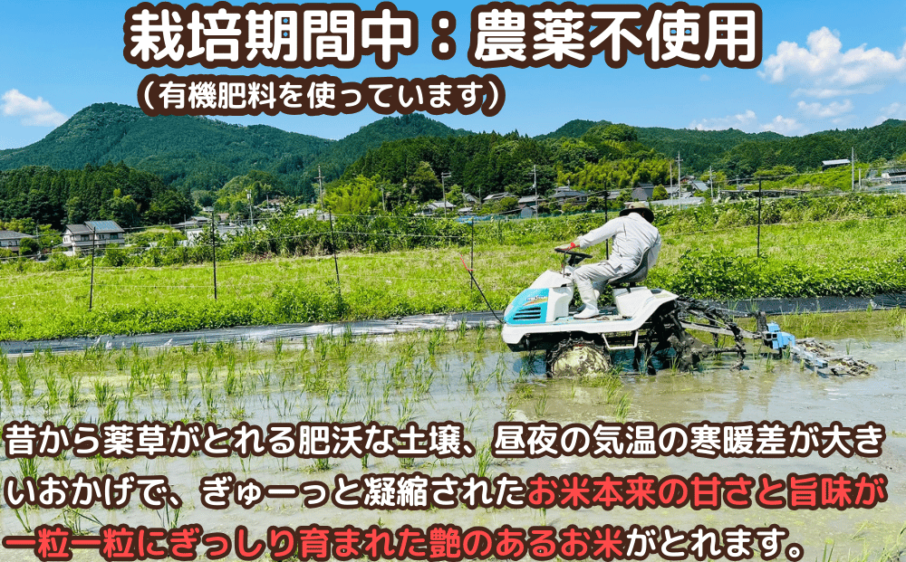 特別栽培米★新米 《令和6年産》 玄米 ３kg ９月末より順次発送/特別栽培米 新米 令和6年産 玄米  農家やまおか 有機肥料 国産 お米 奈良県 宇陀市 送料無料 ふるさと納税 新米