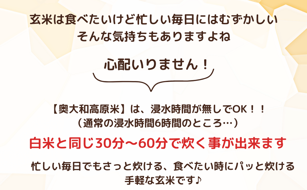 ★自然栽培米★新米【令和6年産】玄米　 3kg ９月末より順次発送/自然栽培米 新米 令和6年産 玄米 農家やまおか 無農薬 国産 お米 奈良県 宇陀市　お米 玄米 無添加 無農薬 お米 玄米 無添加 無農薬 お米 玄米 無添加 無農薬 お米 玄米 無添加 無農薬 お米 玄米 無添加 無農薬 お米 玄米 無添加 無農薬 お米 玄米 無添加 無農薬 お米 玄米 無添加 無農薬 お米 玄米 無添加 無農薬 お米 玄米 