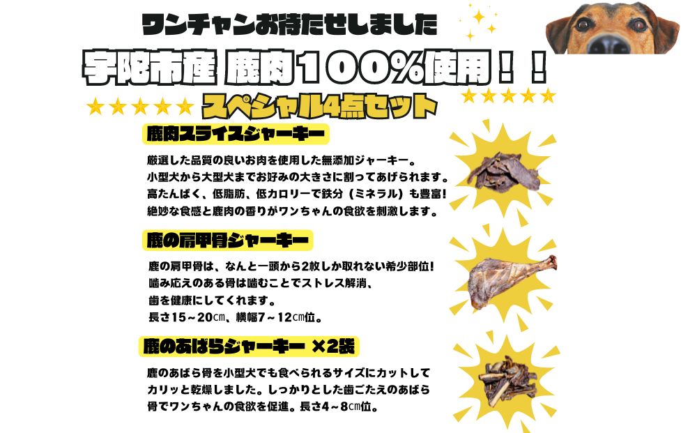 å¥è¯çå®éåžç£ãããçšç¡æ·»å 鹿ãžã£ãŒããŒïŒçš®ïŒïŒç¹ïŒã»ãã/ ãµãããšçŽçš 鹿è ãžã£ãŒã㌠ããã€ ç¬ é£åä¹Ÿç¥æ© ç¡æ·»å åœç£ å¥è¯ç å®éåž