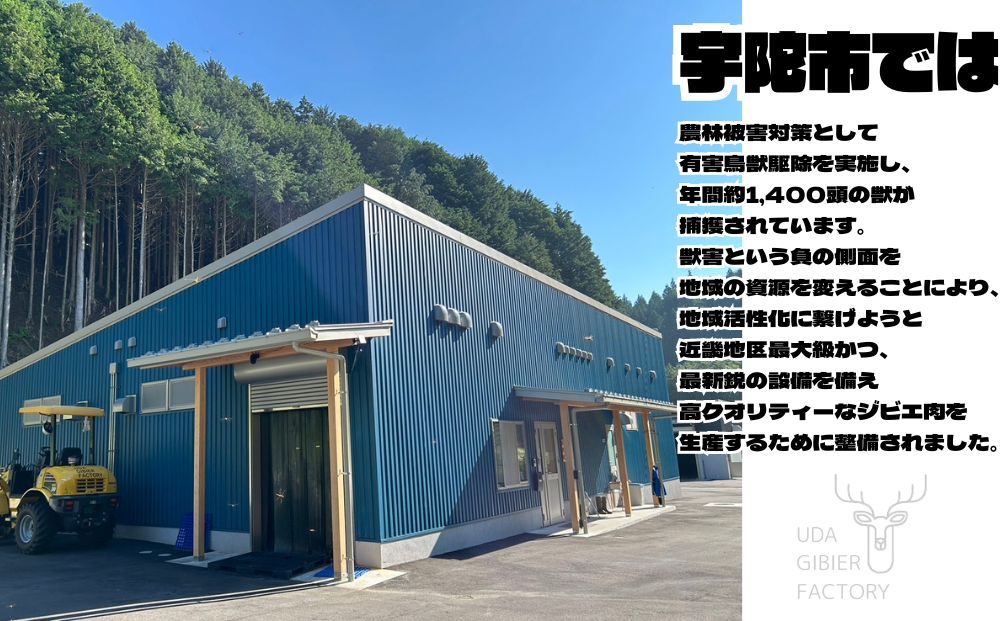 å¥è¯çå®éåžç£ãããçšç¡æ·»å 鹿ãžã£ãŒããŒïŒçš®ïŒïŒç¹ïŒã»ãã/ ãµãããšçŽçš 鹿è ãžã£ãŒã㌠ããã€ ç¬ é£åä¹Ÿç¥æ© ç¡æ·»å åœç£ å¥è¯ç å®éåž