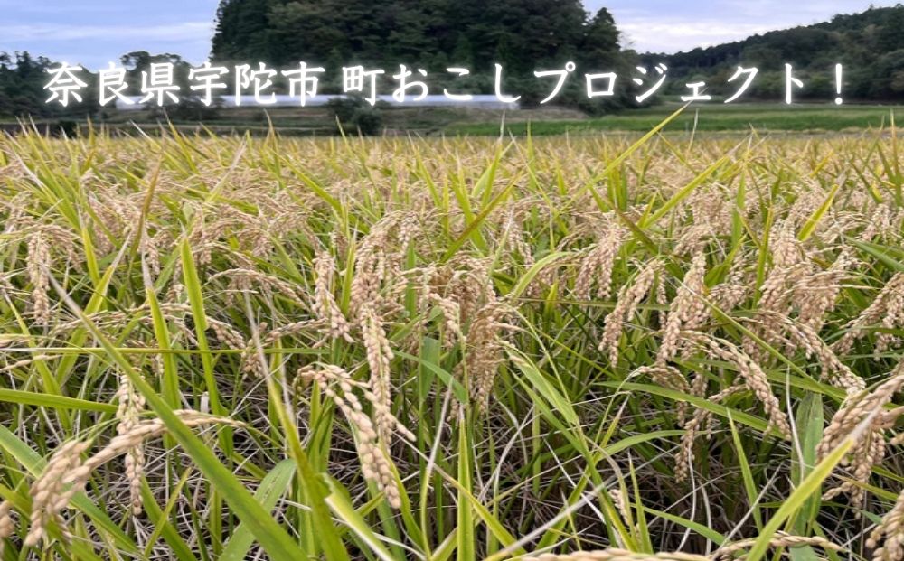 純米大吟醸 KASAMA 720ml 宇陀市産吟のさと使用 （常温便）/ うし源 日本酒 送料無料 ギフト 地酒 お酒 お祝い お取り寄せ 贈り物 奈良県 宇陀市 ふるさと納税 正月