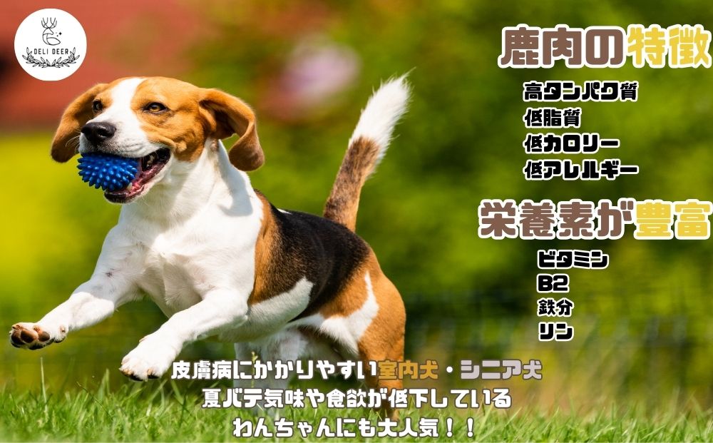 奈良県 宇陀市産 ペット用 天然 鹿肉ジャーキー150g(50g×3)/ あいむふぁっと Deli Deer デリディール ふるさと納税 高たんぱく 低脂肪 低カロリー 鹿肉 ジャーキー チップス おやつ 犬 散歩 無添加 国産 送料無料 奈良県 宇陀市