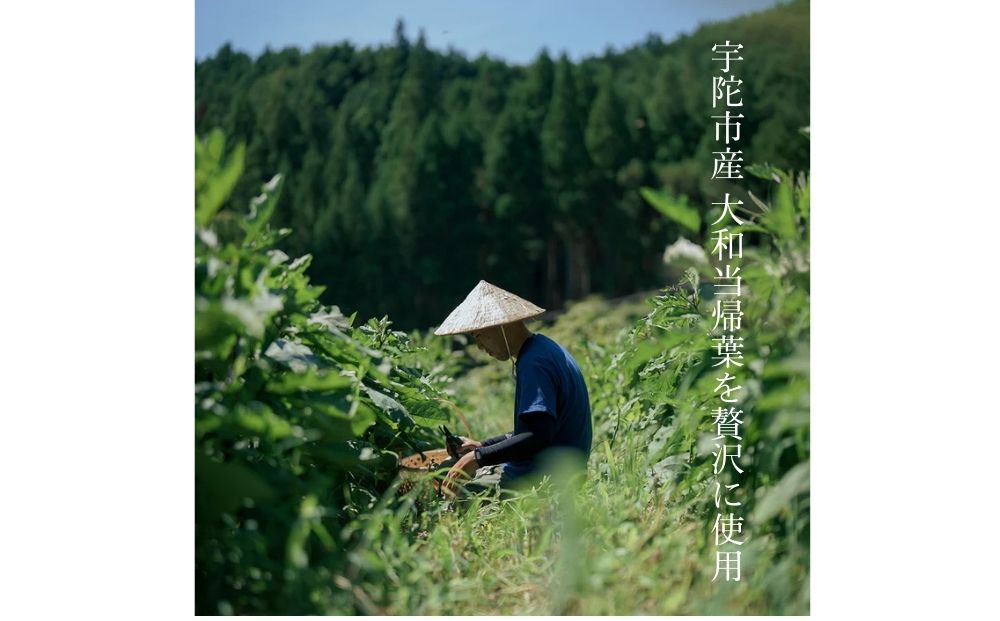 åž°æ¥œå¯æ¥œ 倧ååœåž° ã³ãŒã©ã·ãããÃ2æ¬çµ ïŒ ãªã€ãããã¿ãããµãŒãã¹ ã¯ã©ããã³ãŒã©ã·ããã ã¹ãã€ã¹ 倧ååœåž° ã€ããããŠã ã¢ã¬ã³ãž çé
žå²ã ã³ãŒã© 2æ¬ã»ãã ãµãããšçŽçš å¥è¯ç å®éåž