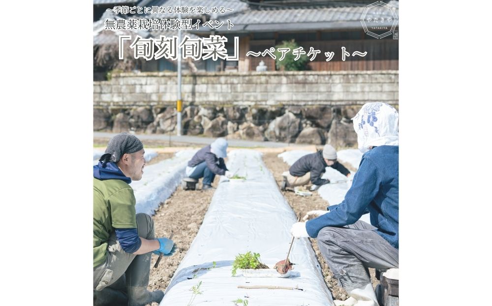 『旬刻旬菜』参加チケット（ペアチケット）家庭菜園のお悩みをプロ農家に相談できるランチ付き農業体験 ／ なつかしいみらいサービス 送料無料 チケット 無農薬栽培 農業体験 家庭菜園 ふるさと納税 奈良県 宇陀市