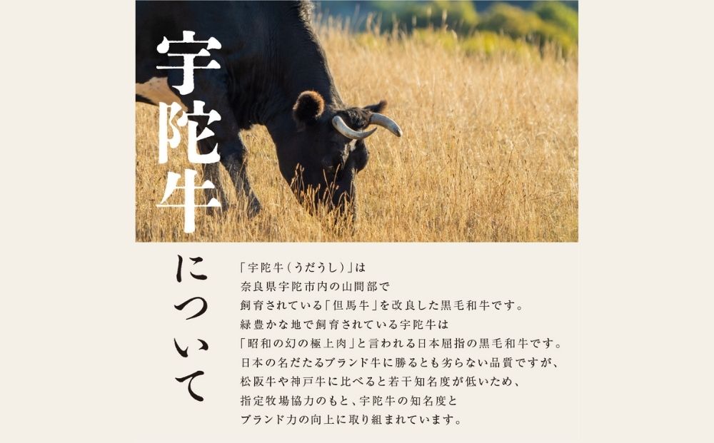 ＜２月発送＞特産 認定肉 宇陀牛 国産 黒毛和牛 特上 すき焼 約400g チルド / 宇陀 山繁 ふるさと納税 牛肉 人気 BBQ 焼きしゃぶ キャンプ 寄付 ランキング おすすめ グルメ 肉 返礼品 送料無料