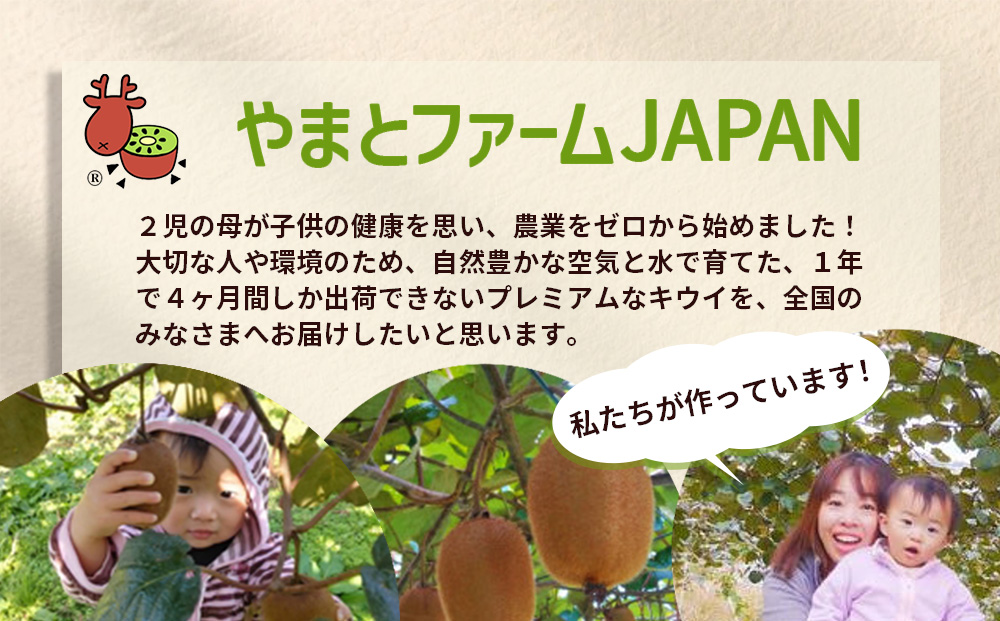 ＜2026年12月～3月順次発送＞ こだわり プレミアムキウイフルーツ Mサイズ 17個×2箱入 追熟処理済／ ふるさと納税 キウイ キウイフルーツ ギフト 栄養 果物 お土産 化学肥料不使用 特別栽培 塩 奈良県 宇陀市 やまとファームJAPAN